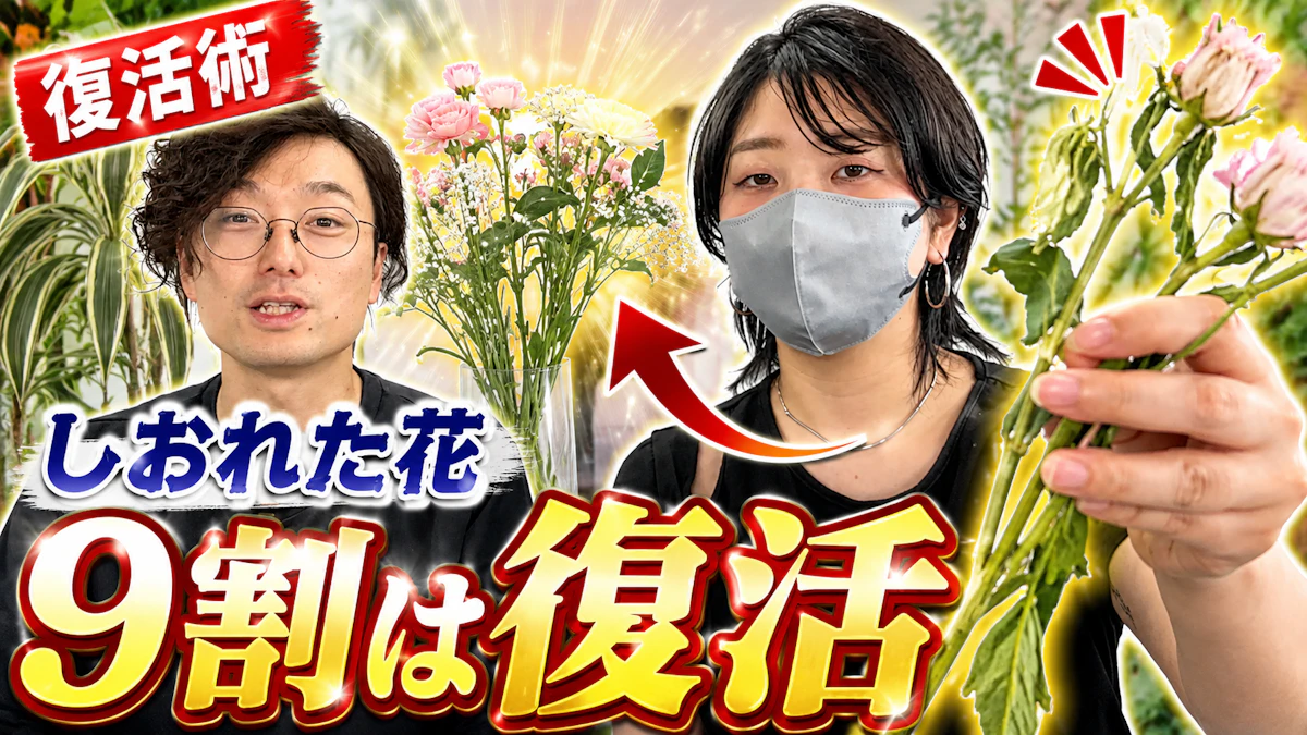 YouTube紹介画像